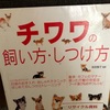 『チワワの飼い方・しつけ方』