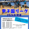 【大会情報】マメシーバがMölkky甲子園リーグの構想発表。2024開催の個人戦ポイントレース