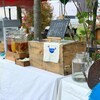 6/9(日)須賀川のrojimaに出張させていただきます！