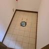 チョロ回りしてます。