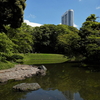 江戸の風情と藤の咲く庭園⑤『小石川後楽園』Koishikawa Korakuen Garden