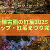 小諸城址懐古園の紅葉2025｜見頃・ライトアップ・紅葉まつり完全ガイド