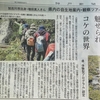 【神戸新聞掲載】　加古川市出身・増田真人さん　県内の自生地案内・観察ツアー展開　～癒し魅せられコケの世界～　