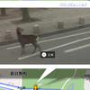  鹿さんを探せ!! in 奈良公園 on Google Maps ストリートビュー