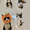 猫グッズは自主制作したくなる