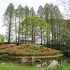 4月の清水公園(八王子)に行ってきました