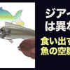 なぜ突然食い始める？魚の空腹周期とジアイの違い