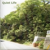 TARJEELINGニューアルバム「Quiet Life」に関する覚書　第14回「アートワークの事など」