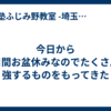 今日から３日間お盆休みなのでたくさん勉強するものをもってきた