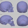 イゴール・バイドフ🍀「ネアンデルタール人の頭蓋骨」が現代人の頭痛の原因になった