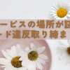 オービス撮られたかも？新型オービスを検証