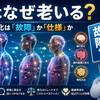 第1回・前編 人はなぜ老いるのか？ ――老化は「故障」なのか、それとも生命の「仕様」なのか