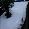 　続・帝王来たる、舞姫来たる。そして雪の日。