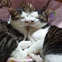 masami3ch’s blog