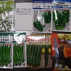 夏野菜の種を買いそろえています。