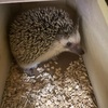癒し！！！