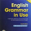 冬休みの宿題にEnglish Grammer in Useをやる