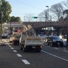 フランス山地区に桜のコンテナ