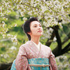 【ＢＳ日テレ】山桜