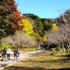 【鎌倉・建長寺（後編）】上り見る 富士の高嶺と 谷戸の秋 ｜60歳からの御朱印めぐり〔020/541〕