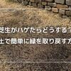 芝生がハゲたらどうする？目土で簡単に緑を取り戻す方法