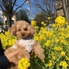 久しぶりの万代池