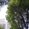 [街の風景］＠本郷、岩崎邸裏