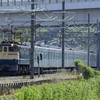 第2394列車　「　甲52 西武鉄道40000系(40162f)の甲種輸送を狙う　」
