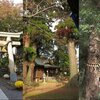 修善寺で紅葉狩り　Part.3　温泉街の”名所”めぐり