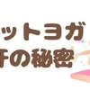 ホットヨガで極上の滝汗をかこう！汗の効果と役割とは？