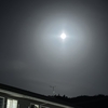 Worm moon 芋虫月です。