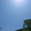 夏来たるらし