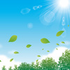 2024年6月19日(水)のお風呂BGMセトリ