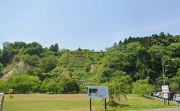 記事を見る