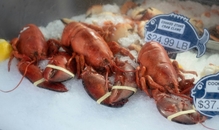 オーストラリア・パースの名物グルメ9選！レストランでの注意点もあわせて解説