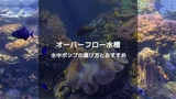 海水魚水槽の必須アイテム！オーバーフロー水槽の水中ポンプ選び方とおすすめ