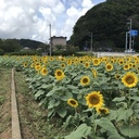 ヘルメット君の数学日記