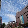 【出店御礼&出店のお知らせ】大分 ありがとうございました。からの〜明日から佐世保です。