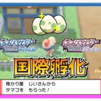 21年版 ポケモン剣盾 今更聞けない ソードシールド版国際孵化のやり方 色違い Club Shiny S Blog 2号館
