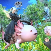 FF14