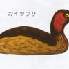 カイツブリ（鳰＝にお）