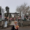 #くまくま神社#こいのぼり#桜