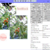 WPF、画像を含んでいる状態をファイルに保存と読み込みテスト