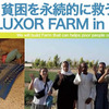 貧困を永続的に救う農園 in Egypt