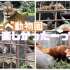念願のとべ動物園～前編
