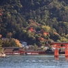 フォト・ライブラリー(29)宮島の紅葉①