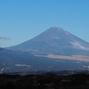 移住者が増えているらしいです。