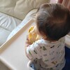 チビのモーニングルーティン