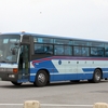 沖縄バス / 沖縄22き ・102