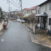 雪